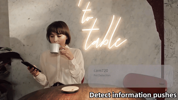 3MP PTZ IP Camera with Auto Tracking and Color Night Vision3