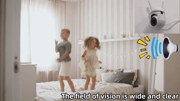 3MP PTZ IP Camera with Auto Tracking and Color Night Vision2